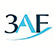 3AF Midi-Pyrénées: the French Society of Aeronautic and Aerospace